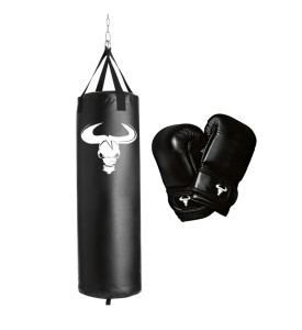 Bag and punching Mitts