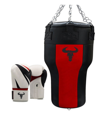 Bag and punching Mitts